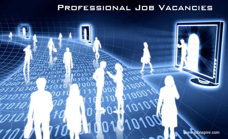 professional job vacancies